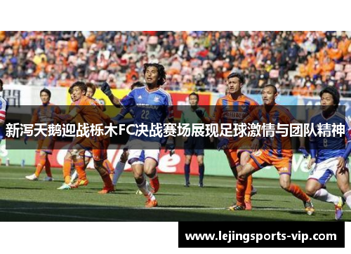 新泻天鹅迎战栎木FC决战赛场展现足球激情与团队精神
